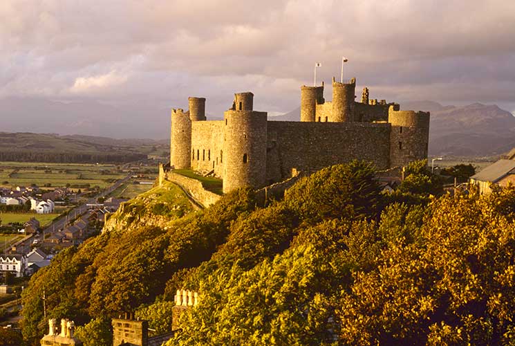 webharlech